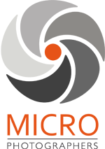 Micro Photographers